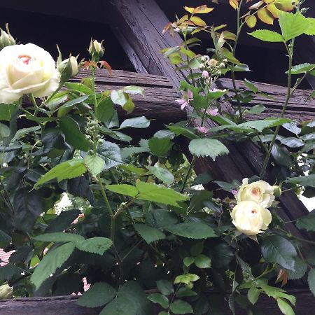 B&B Le Lodge Bourgheim Екстериор снимка