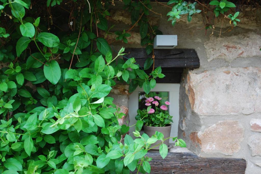 B&B Le Lodge Bourgheim Екстериор снимка